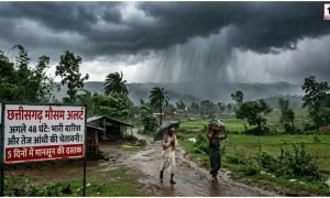 CG Weather Alert