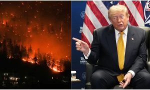 Canada Wildfire