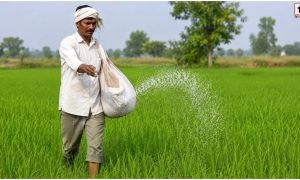 Chhattisgarh Farmers