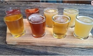 Chhattisgarh Microbrewery