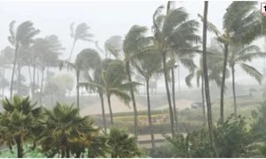 Chhattisgarh Monsoon