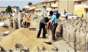 Chhattisgarh Paddy Scam