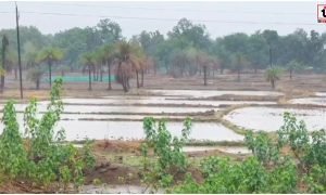 Chhattisgarh Rain Alert