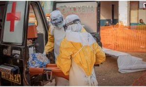 Congo Ebola News