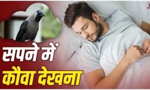 Crow in Dream