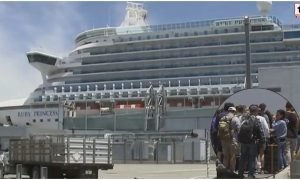 Cruise Virus Alert