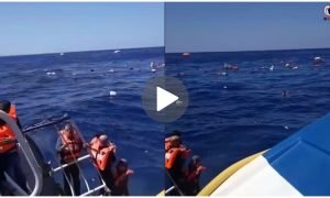 Cyprus Boat Accident