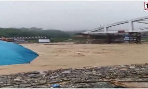 Darjeeling Rain