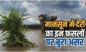 Delayed Monsoon Impact