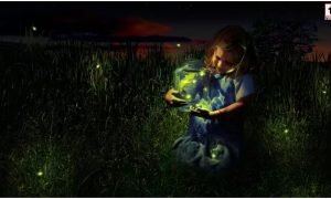 Delhi Fireflies Crisis