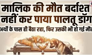 Dog Loyalty