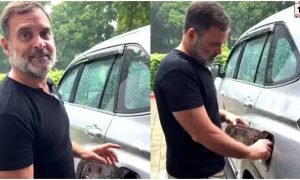 E20 Petrol Controversy