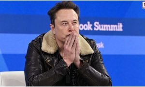 Elon Musk Loss