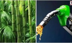 Ethanol Allocation