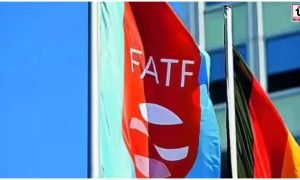 FATF Vice President