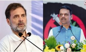 Fadnavis on Rahul Gandhi