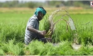 Farmer Relief Scheme