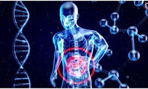 Fatty Liver Reversal