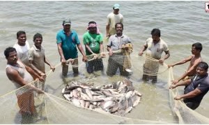 Fish Farmers Scheme