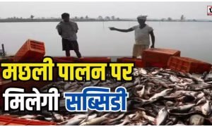 Fish Farming Subsidy