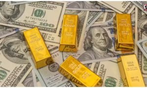 Foreign Exchange Reserves