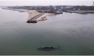 Germany Whale Rescue
