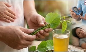 Giloy Benefits