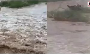 Gujarat Monsoon News