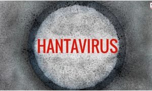 Hantavirus Cruise Ship