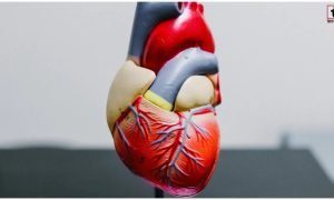 Heart Health