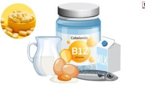 High Vitamin B12
