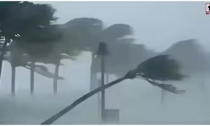 IMD Weather Alert