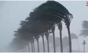 IMD Weather Alert