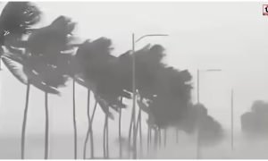 IMD Weather Alert