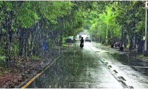 IMD Weather Alert