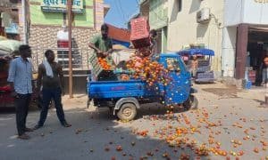 लागत मूल्य भी नहीं मिल पाने से किसानों ने टमाटर फेंका बाजार में