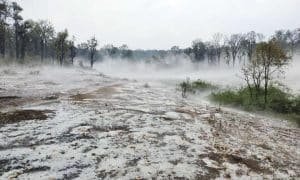 हिमालय की यादें ताज़ा करेंगी, सरगुजा की ये तस्वीरें, देखें 👇🏻