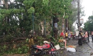 प्री मानसून बारिश : भीषण गर्मी से मिली राहत, देखें आंधी-तूफान के बाद की तस्वीरें