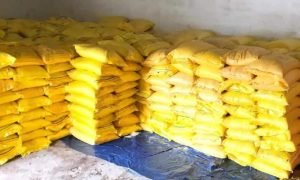DAP fertilizer storage : सहकारी समितियों में नैनो DAP का बड़ा स्टॉक, छत्तीसगढ़ में 1 लाख बोतलें रखी गईं