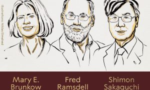 नोबेल पुरस्कार 2025 : ‘इम्यून टॉलरेंस’ की खोज के लिए मैरी ब्रनको, फ्रेड रैम्सडेल और शिमोन सकागुची को मिला मेडिसिन का नोबेल सम्मान