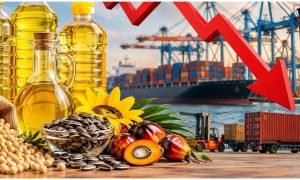 Import Duty Cut