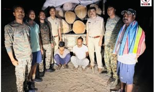 बलरामपुर वन विभाग की बड़ी कार्रवाई, अवैध साल लकड़ी परिवहन करते दो तस्कर गिरफ्तार, वाहन समेत लाखों की लकड़ी जब्त