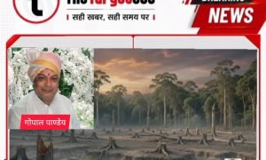 Forest Lament : सरगुजा के जंगलों का दर्द गीत बनकर छलका, लोकगायक गोपाल पांडेय ने एआई फिल्म से उठाई आवाज