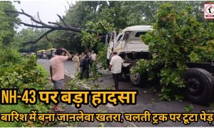 Ambikapur News : चलते ट्रक पर गिरा विशाल पेड़, चालक गंभीर घायल; NH-43 पर टला बड़ा हादसा