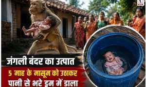 Ambikapur News : बस्ती में घुसा जंगली बंदर, 5 माह के मासूम को उठाकर पानी से भरे ड्रम में डाला, परिजनों ने ड्रम से निकाल बचाई बच्चे की जान