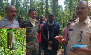 Ambikapur News : सकालो जंगल में MSc छात्र ने फांसी लगाकर की आत्महत्या, जांच में जुटी पुलिस