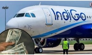IndiGo News