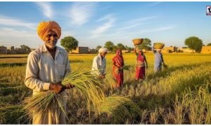 Indian Agriculture