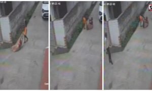 Jabalpur Crime