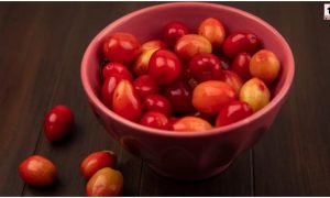Karonda Benefits